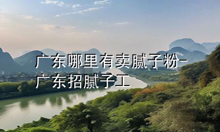 广东哪里有卖腻子粉-广东招腻子工
