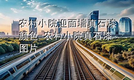 农村小院迎面墙真石漆颜色-农村小院真石漆图片