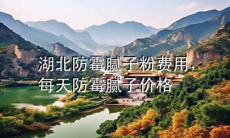 湖北防霉腻子粉费用，每天防霉腻子价格