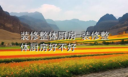装修整体厨房-装修整体厨房好不好