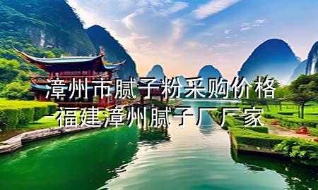 漳州市腻子粉采购价格-福建漳州腻子厂厂家