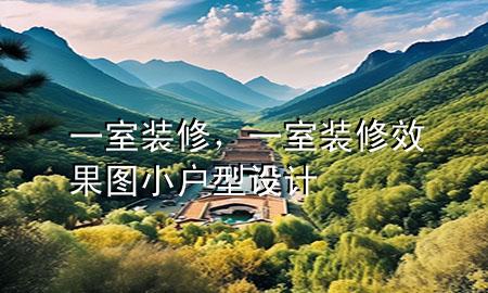 一室装修，一室装修效果图小户型设计