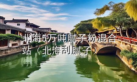 北海5万吨腻子粉混合站（北海刮腻子）