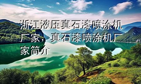 浙江液压真石漆喷涂机厂家，真石漆喷涂机厂家简介