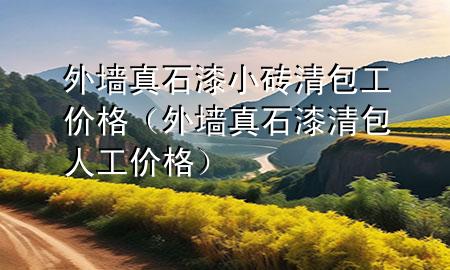 外墙真石漆小砖清包工价格（外墙真石漆清包人工价格）