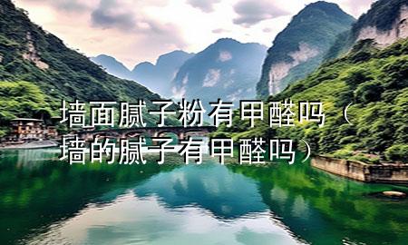 墙面腻子粉有甲醛吗（墙的腻子有甲醛吗）