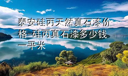 泰安硅丙天然真石漆价格-硅丙真石漆多少钱一平米