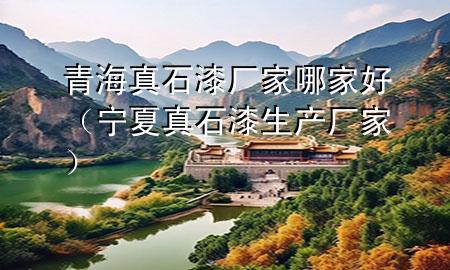 青海真石漆厂家哪家好（宁夏真石漆生产厂家）