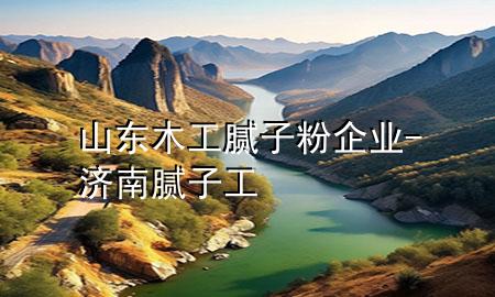 山东木工腻子粉企业-济南腻子工
