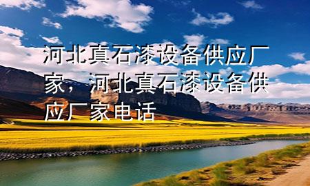 河北真石漆设备供应厂家，河北真石漆设备供应厂家电话