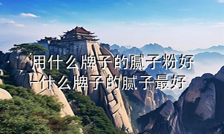 用什么牌子的腻子粉好-什么牌子的腻子最好