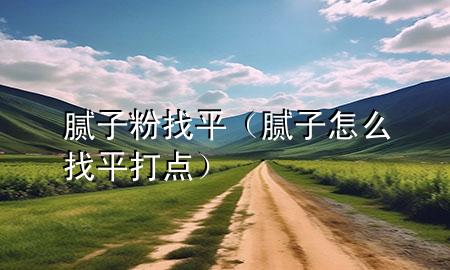 腻子粉 找平（腻子怎么找平打点）