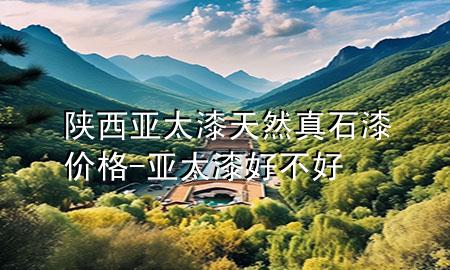陕西亚太漆天然真石漆价格-亚太漆好不好