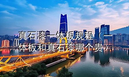 真石漆一体板规程（一体板和真石漆哪个贵）