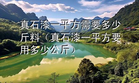 真石漆一平方需要多少斤料（真石漆一平方要用多少公斤）