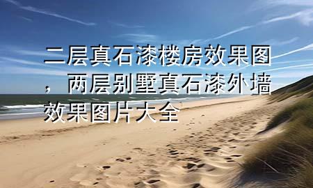 二层真石漆楼房效果图，两层别墅真石漆外墙效果图片大全
