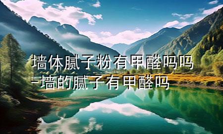 墙体腻子粉有甲醛吗吗-墙的腻子有甲醛吗