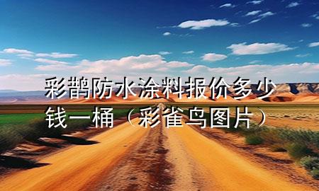 彩鹊防水涂料报价多少钱一桶（彩雀鸟图片）