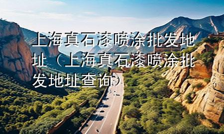 上海真石漆喷涂批发地址（上海真石漆喷涂批发地址查询）