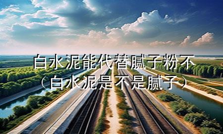 白水泥能代替腻子粉不（白水泥是不是腻子）