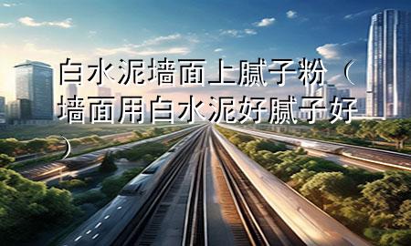 白水泥墙面上腻子粉（墙面用白水泥好腻子好）