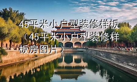 45平米小户型装修样板（45平米小户型装修样板房图片）