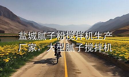 盐城腻子粉搅拌机生产厂家，大型腻子搅拌机