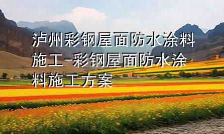 泸州彩钢屋面防水涂料施工-彩钢屋面防水涂料施工方案