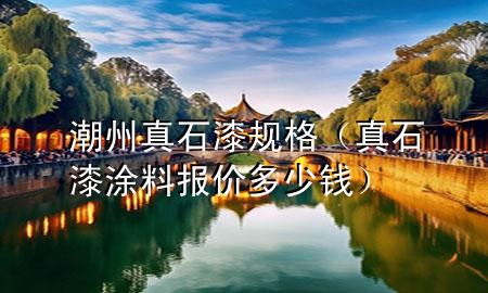潮州真石漆规格（真石漆涂料报价多少钱）