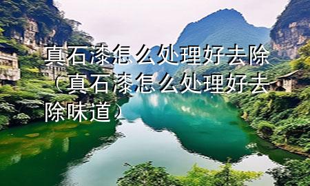 真石漆怎么处理好去除（真石漆怎么处理好去除味道）