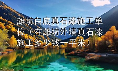 潍坊白底真石漆施工单位（在潍坊外墙真石漆施工多少钱一平米）