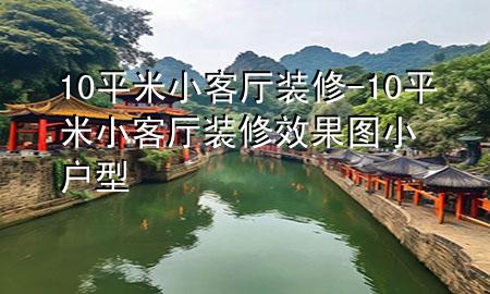 10平米小客厅装修-10平米小客厅装修效果图 小户型
