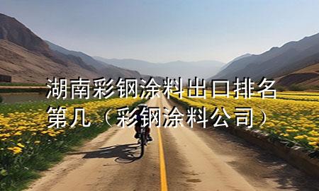 湖南彩钢涂料出口排名第几（彩钢涂料公司）