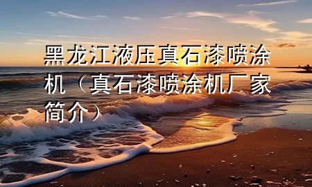 黑龙江液压真石漆喷涂机（真石漆喷涂机厂家简介）