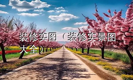装修实图（装修实景图大全）