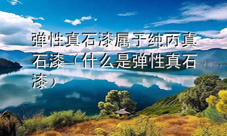 弹性真石漆属于纯丙真石漆（什么是弹性真石漆）