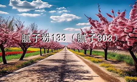腻子粉133（腻子 303）