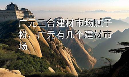 广元三合建材市场腻子粉，广元有几个建材市场