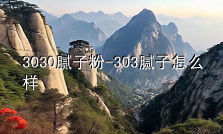 3030腻子粉-303腻子怎么样