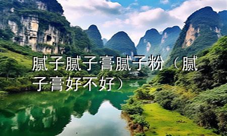 腻子 腻子膏 腻子粉（腻子膏好不好）