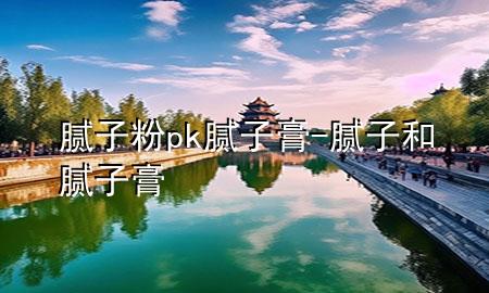 腻子粉pk腻子膏-腻子和腻子膏