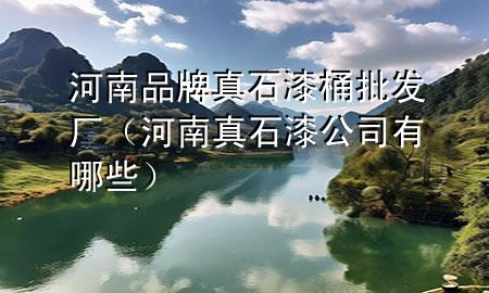 河南品牌真石漆桶批发厂（河南真石漆公司有哪些）