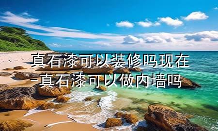 真石漆可以装修吗现在-真石漆可以做内墙吗
