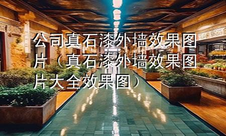 公司真石漆外墙效果图片（真石漆外墙效果图片大全 效果图）