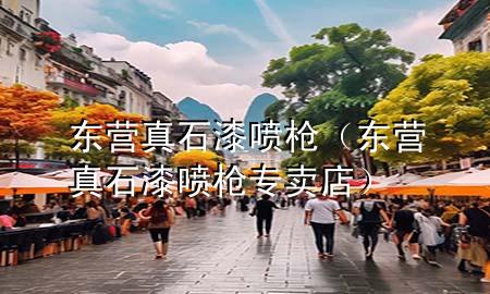 东营真石漆喷枪（东营真石漆喷枪专卖店）