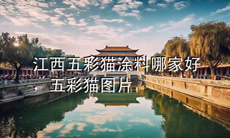 江西五彩猫涂料哪家好，五彩猫图片