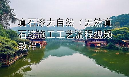 真石漆大自然（天然真石漆施工工艺流程视频教程）
