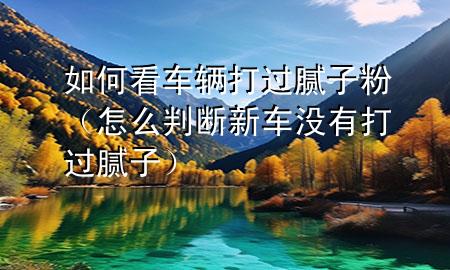 如何看车辆打过腻子粉（怎么判断新车没有打过腻子）