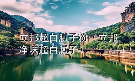 立邦 超白 腻子粉（立邦净味超白腻子）
