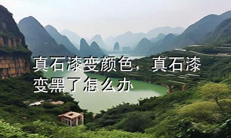 真石漆变颜色，真石漆变黑了怎么办